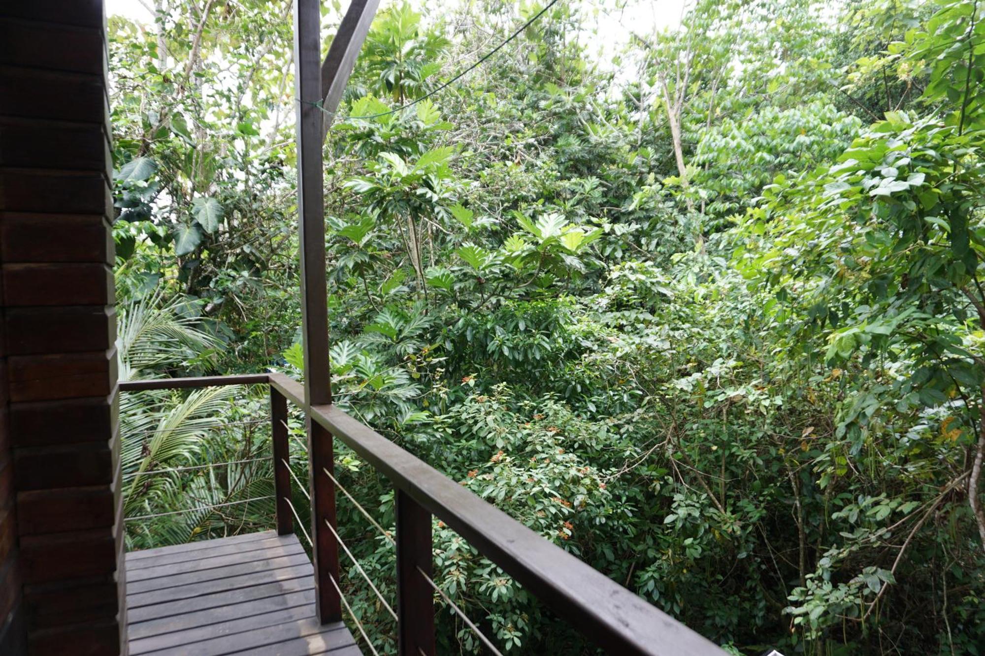 Oasis Bluff Beach Bocas Town Exterior foto